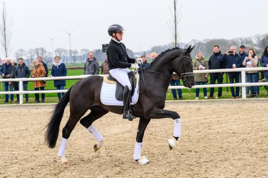 Foto: Reservesiegerhengst Excalibur mit Heiko Klausing - Fotograf: © www.Equitaris.de
