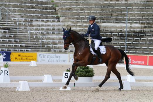 Foto: Michael Jung/fischerChipmunk - Fotograf: Andrea Richter