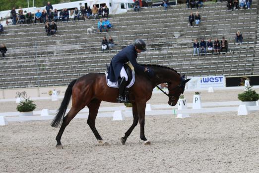 Foto: Michael Jung/fischerChipmunk - Fotograf: Andrea Richter