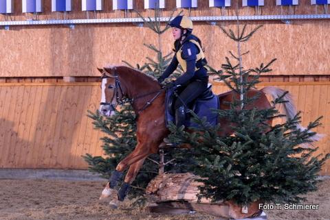 Foto: Indoor-Vielseitigkeitslehrgang Reitstall Schmierer Erdmannhausen - Fotograf: Thomas Schmierer