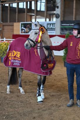 Foto: Siegerin der vierjährigen Springpferde: Carassina - Fotograf: Hubert Fischer