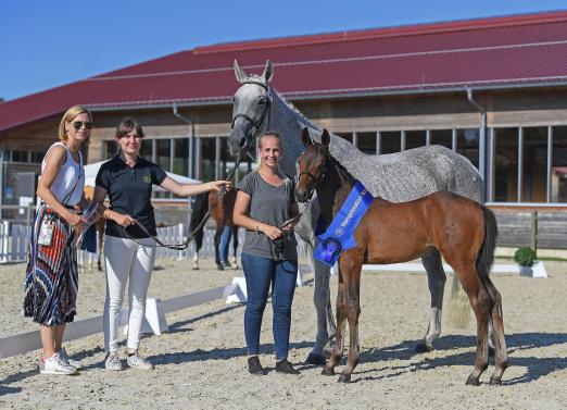 Foto: Kat-Nr. 54 Sieger Abt. II Hongkong B