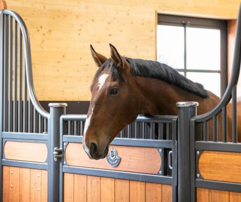 Foto: Die neuen Boxen auf Schloss Falkenhaus - Fotograf: Slawik Equine Photography