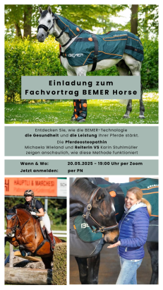 Zum Vergrößern einfach aufs Bild klicken!