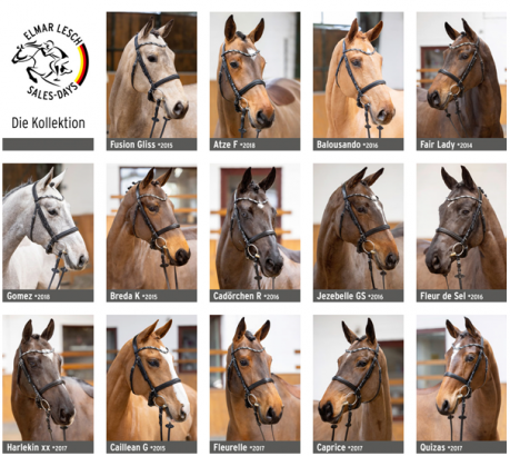 Foto: Die Kollektion der ELMAR LESCH SALES DAYS 05.-12. März 2022 - Fotograf: Thomas Ix