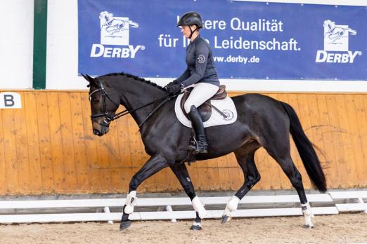 Foto: Allure, 4-jährige braune Trakehnerstute von L’ Elu de Dun AA x Hirtentanz abstammend - Fotograf: Elmar Lesch Sales-Days