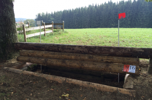 Hindernis 16 des Geländeritts der Kl. A**, der "Trakehner" - Fotograf: Steffen Kraus