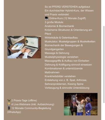 Zum Vergrößern einfach aufs Bild klicken!