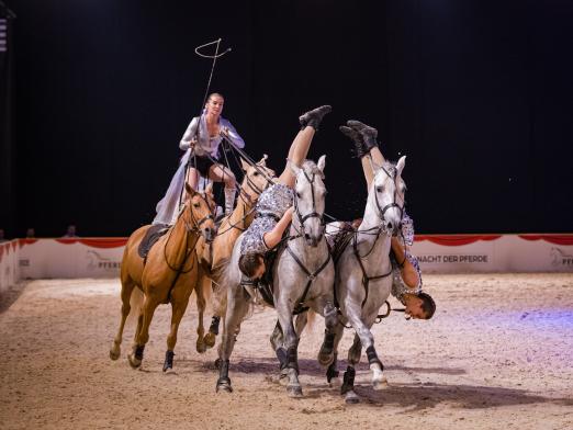 Foto: Auszug aus dem Schauprogramm - Fotograf: Oldenburger Landesturnier