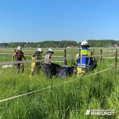 Foto: Pferde-Rettung - Fotograf: Galka, Feuerwehr