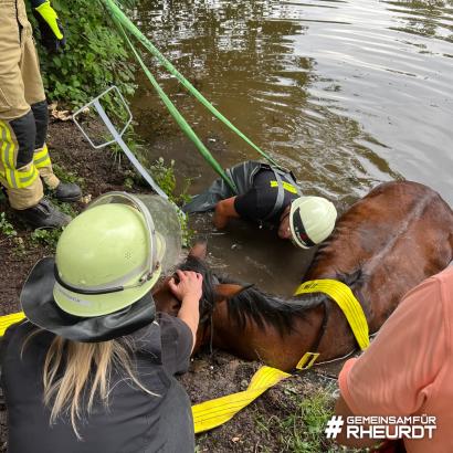 Foto: Pferderettung durch die Feuerwehr Rheurdt - Fotograf: Galka, Feuerwehr
