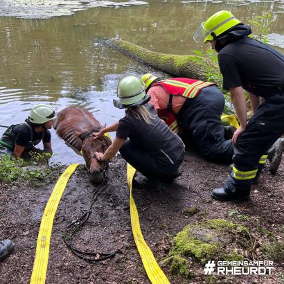 Foto: Pferderettung durch die Feuerwehr Rheurdt - Fotograf: Galka, Feuerwehr