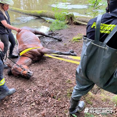 Foto: Pferderettung durch die Feuerwehr Rheurdt - Fotograf: Galka, Feuerwehr