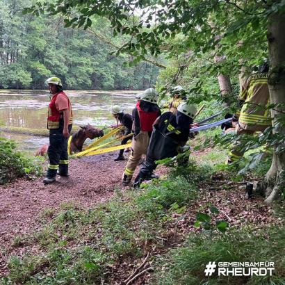 Foto: Pferderettung durch die Feuerwehr Rheurdt - Fotograf: Galka, Feuerwehr