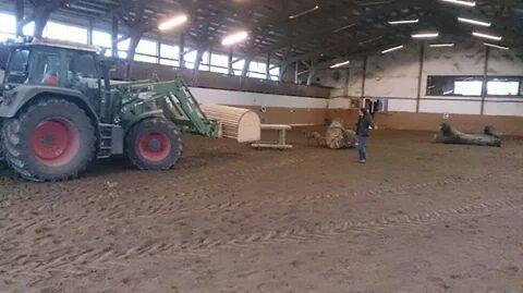 Foto: Indoor-Vielseitigkeitslehrgang Reitschule Hoffmann Trossingen - Fotograf: Stefanie Hoffmann