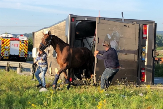 Foto: Umgekippter Pferdetransporter - Fotograf: Polizei Münster