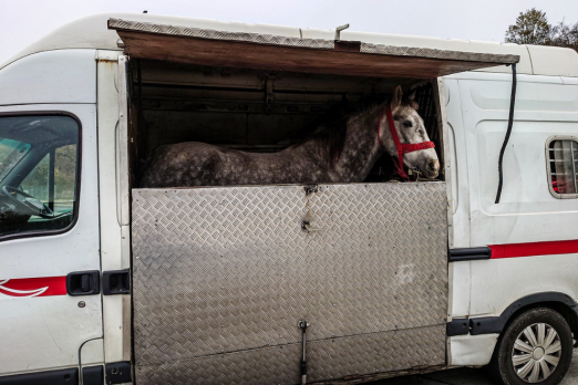 Foto: Der kontrollierte Pferdetransporter - Fotograf: Polizeipräsidium Mittelhessen