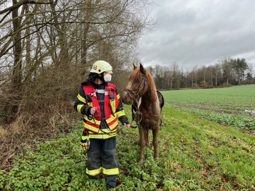 Foto: Die Großtierrettung wurde erfolgreich abgeschlossen - Feuerwehr Bad Salzuflen