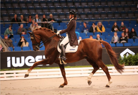 Foto: Yara Reichert/Springbank II VH - Fotograf: Stuttgart German Masters