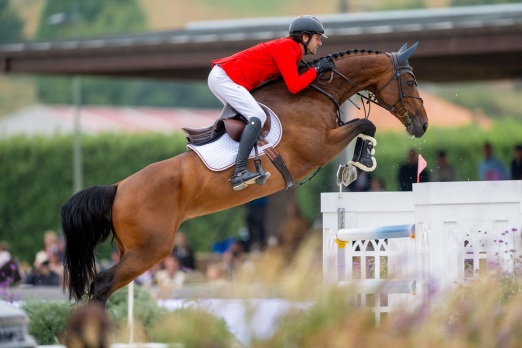 Foto: Christian Kukuk/Just Be Gentle - Fotograf: FEI/Benjamin Clark Foto: Christian Kukuk/Just Be Gentle - Fotograf: FEI/Benjamin Clark