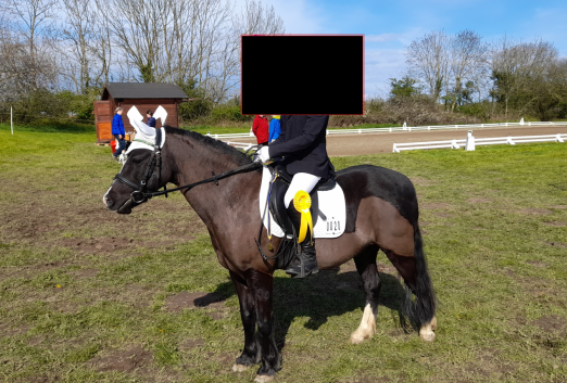 Zum Vergrößern einfach aufs Foto klicken!