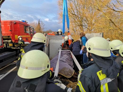 Foto: Verunfalltes Pferd - Fotograf: Freiwillge Feuerwehr Dülmen