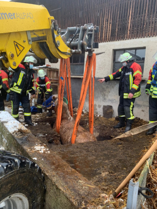 Foto: Pferderettung - Fotograf: Freiwillige Feuerwehr Weil der Stadt