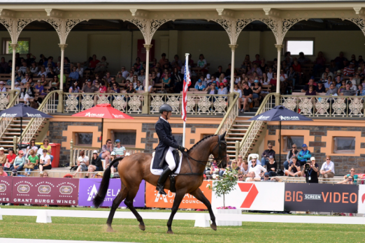 Seumas Marwood with his Contango II mare Wild Oats, third after Dressage at FEI Classics™ in Adelaide (Julie Wilson/FEI) 