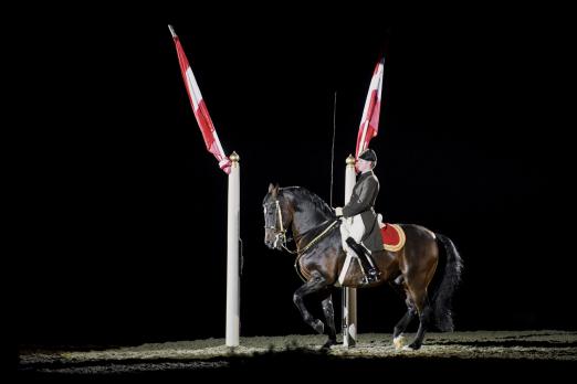 Foto: Das Beleuchtungssystem setzt Pferd und Reiter in Szene - Fotograf: © SRS / Rene van Bakel
