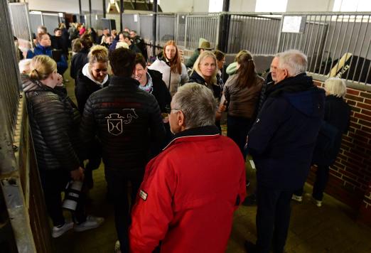 Foto: Im Stall fand ein reger Austausch zwischen Züchtern und Hengsthaltern statt. - Fotograf: Janne Bugtrup