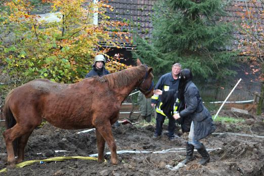 Der Plan ist aufgegangen, Wayne steht wieder auf allen Vieren. Fotograf: Mike Filzen