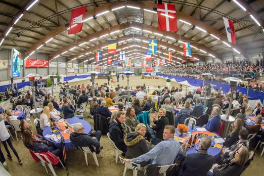 Foto: Die Top-Event-Horse-Auction 2015 - Fotograf: Thomas Ix/Top-Eventers GmbH