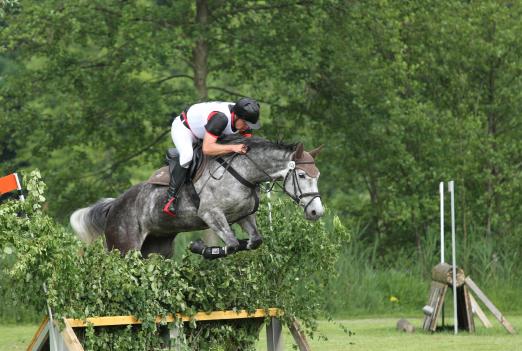 Foto: mit viel Respekt und zuviel Fahrt in die Busch-Kombination, Steffen Kraus auf Denaria M - Fotograf: Sandra Weeber