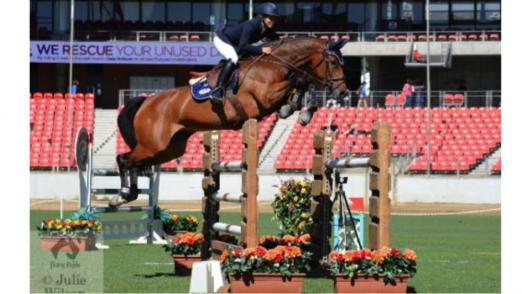 PSS Avolette (alias Cristalline) siegreich in Weltcupspringen unter Gabrielle Guna und Chris Chugg (AUS) - aktuell bereits 8-jährig Teilnehmer am Weltcupfinale in Göteborg