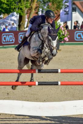 Foto: Max Weishaupt auf der 8-jährigen Omerta Incipit (Levisonn x Candillo) - Fotograf: Tim Heide