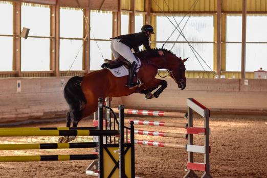 Foto: Richard Vogel/Elton - Fotograf: Tim Heide