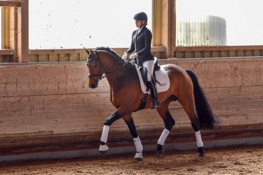 Foto: Lisa Buchhold/Zensus - Fotograf: Tim Heide