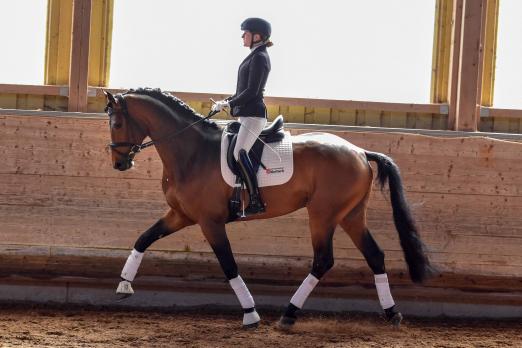 Foto: Lisa Buchhold/Zensus - Fotograf: Tim Heide