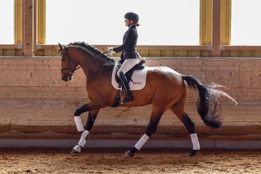 Foto: Lisa Buchhold/Zensus - Fotograf: Tim Heide