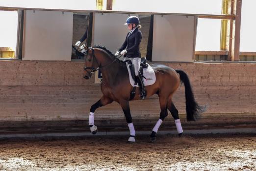 Foto: Lisa Buchhold/Zensus - Fotograf: Tim Heide