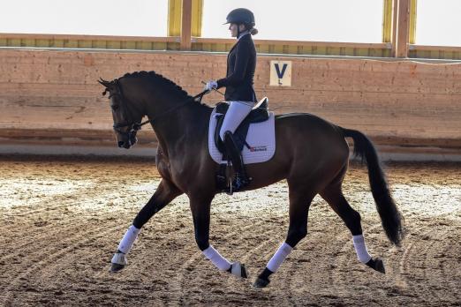 Foto: Lisa Buchhold/Zensus - Fotograf: Tim Heide