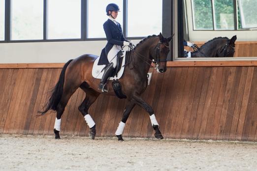 Foto: Aus der Kollektion ESKADRON PLATINUM PURE 2023 - Fotograf: Firma PIKEUR