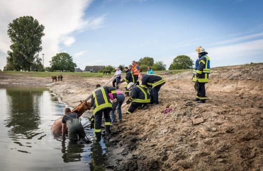 Foto: Pferderettung in Kleve OT Rindern - Fotograf: Feuerwehr Kleve
