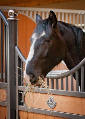 Foto: Pferdeboxen in den Black Horse Stables in Litauen - Fotograf: Röwer & Rüb