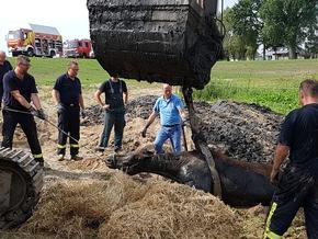 Foto: Tierrettung - Fotograf: Feuerwehr Kleve
