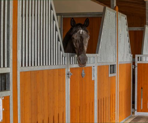 Foto: Der Stall Frese erstrahlt in "neuem" Glanz - Fotograf: Firma Röwer & Rüb