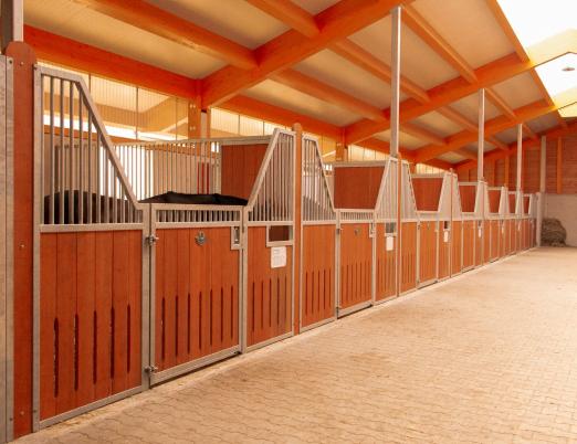 Foto: Der Stall Frese erstrahlt in "neuem" Glanz - Fotograf: Firma Röwer & Rüb