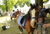 Foto: Zu erleben beim Global Jumping Berlin: Der PM-Ponyspaß, präsentiert von Pferde für unsere Kinder e.V. - Fotograf: Isabel Schiffler