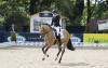 Foto: Siegten in der 2. Qualifikation des Pony Dressur-Derby: Laura Sophie Wiens (GER), mit Dance for Me - Fotograf: Thomas Hellmann