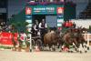 Foto: Weltmeister Boyd Exell (AUS) dominiert den Weltcup der Vierspänner - Fotograf: Sportfoto-Lafrentz.de